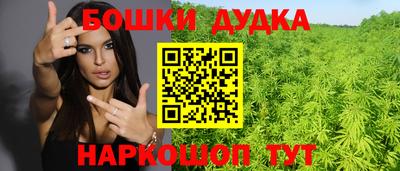 spice Кингисепп