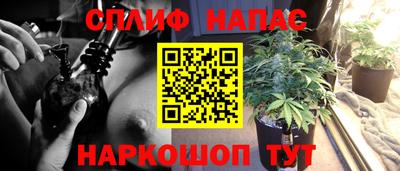 spice Кингисепп